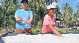 Aktivitas petani garam di Desa Les Buleleng Bali saat memproduksi Garam Palingan yang sudah mendunia