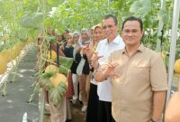 Panen perdana kebun melon yang dilakukan oleh Rektor Untan Prof. Dr.Garuda Wiko, S.H., M. Si. 