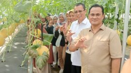 Panen perdana kebun melon yang dilakukan oleh Rektor Untan Prof. Dr.Garuda Wiko, S.H., M. Si. 