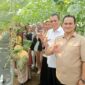 Panen perdana kebun melon yang dilakukan oleh Rektor Untan Prof. Dr.Garuda Wiko, S.H., M. Si. 