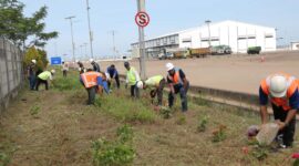 Aktivitas penanaman 500 pohon disekitar pelabuhan kijing dalam rangka mendukung program pelabuhan hijau