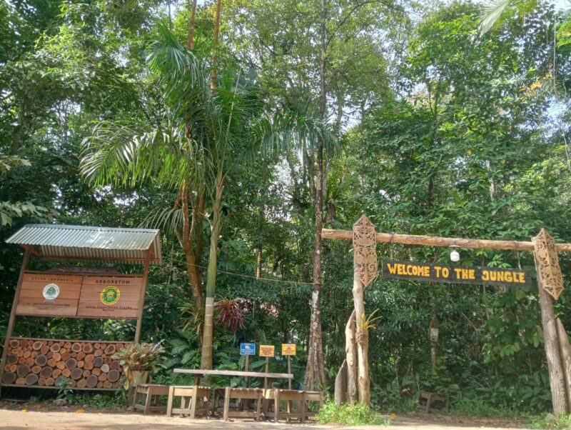 kawasan hutan aboretum sylva Untan yang masih asri dan terjaga kelestariannya