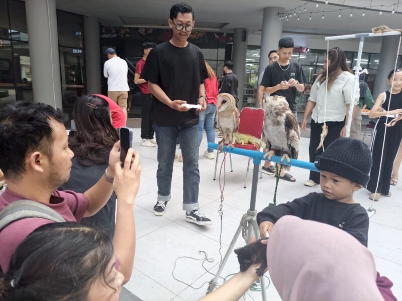 Kehadiran satwa unik koleksi dari komunitas Independent Exotic Pets mencuri perhatian pengunjung Mal Gaia