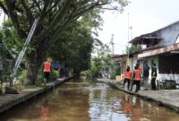 Petugas PUPR tengah memangkas pohon