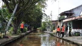 Petugas PUPR tengah memangkas pohon