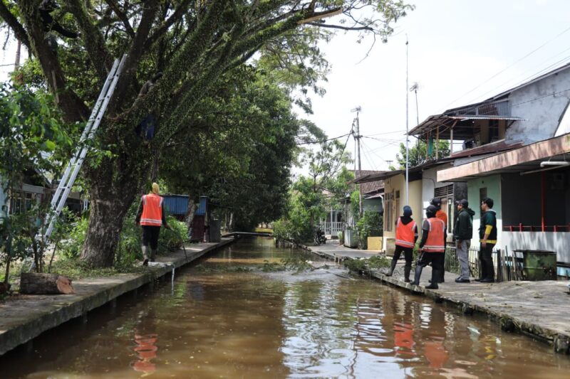 Petugas PUPR tengah memangkas pohon