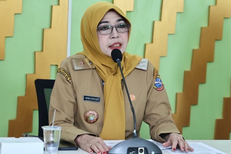 Kepala Dinas Penanaman Modal dan Pelayanan Terpadu Satu Pintu (PTSP) Kota Pontianak Erma Suryani.