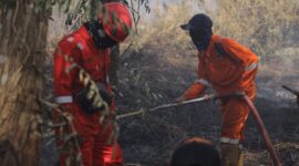 Wali Kota Pontianak Edi Rusdi Kamtono mengimbau camat dan lurah hingga RT-RW serta masyarakat untuk mewaspadai terjadinya kebakaran lahan.